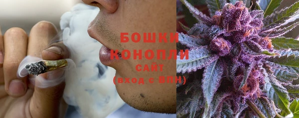 стафф Нефтекумск