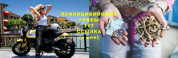 эйфоретик Нефтегорск
