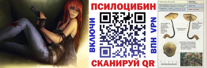 даркнет сайт  Порхов  Псилоцибиновые грибы ЛСД 