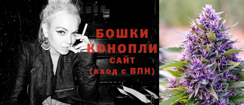 Бошки Шишки LSD WEED  кракен ССЫЛКА  Порхов 